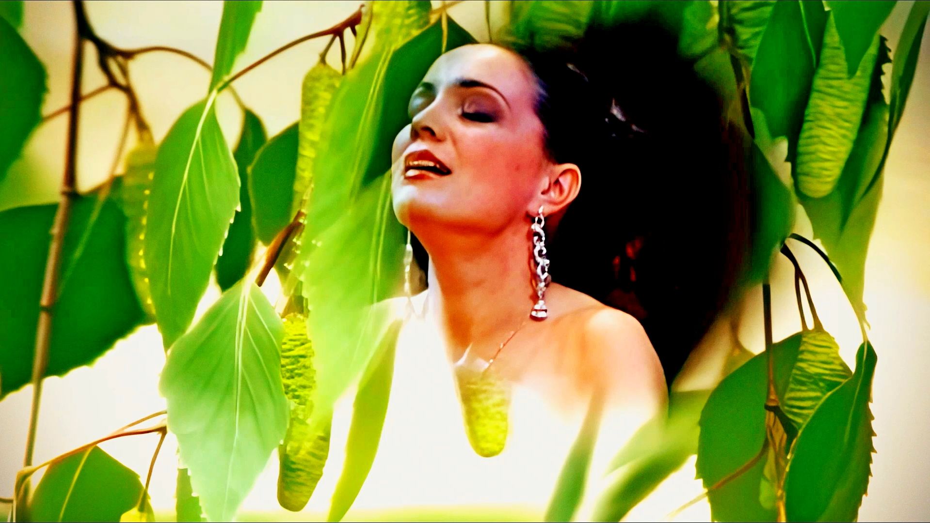 Растёт в Волгограде берёзка