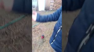 выходной с подругой