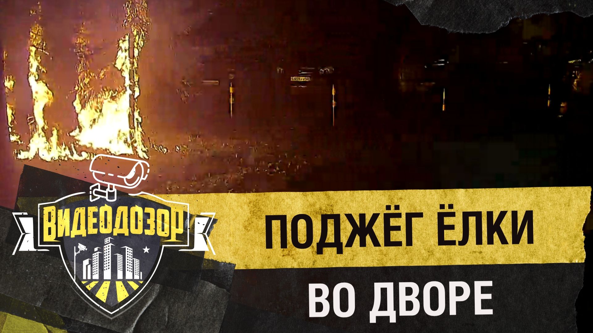 «Пироманьяк» облил ёлки бензином и поджёг| Видеодозор