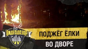 «Пироманьяк» облил ёлки бензином и поджёг| Видеодозор
