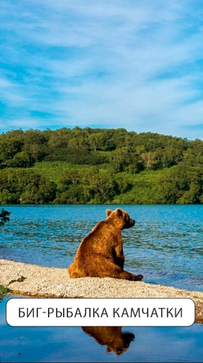 Это просто монстр-2