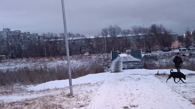 Ранняя прогулка и снег выпал, красота!