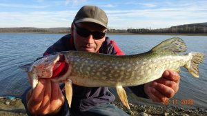 Ловля щуки на дальний заброс На живца.