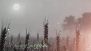 Я буду рядом.