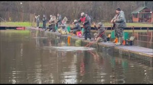 Поимки форели на спиннинг. Рыбалка на Спорт-зоне. Клёвое место Лосиный остров.
