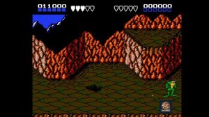 Battletoads для NES