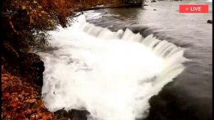 ТАЙНА, которой НЕТ! Тони Парсонс.