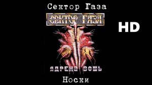 Сектор Газа - Носки