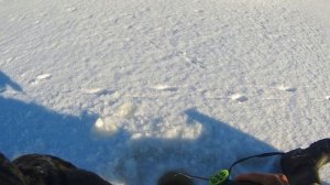 Первый лёд 2025-2026.Рыбалка на маленьком озере.