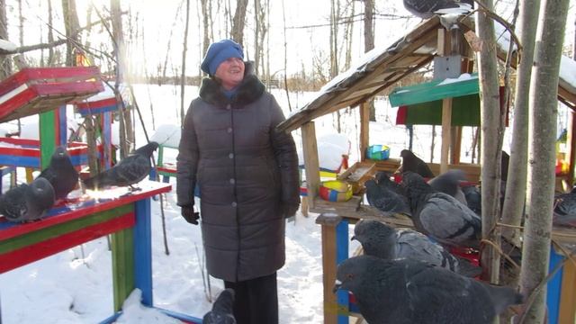 ГОЛУБИ ЛЕНИНСКИЙ ПАРК НА НЕФТЯНИКЕ ХАБАРОВСК 15 декабря 2024 г (Ролик+Слайд)