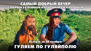 Гуляем по Гуляйполю | Самый добрый вечер | 28.11.2025