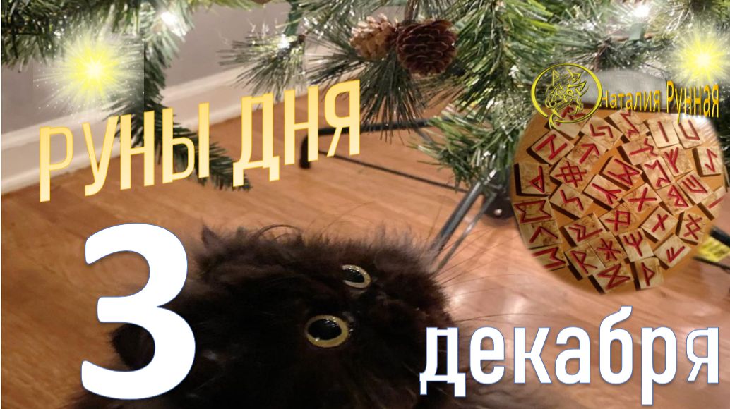 РУНА ДНЯ \Наталия Рунная\прогноз на 3 декабря 2025г