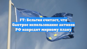 FT: Бельгия считает, что быстрое использование активов РФ навредит мирному плану
