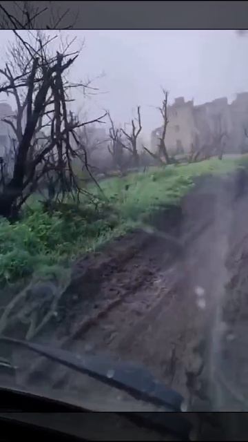 Пейзаж 2023год