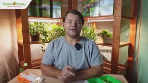 Сеем эустому: практические советы.