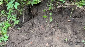 Жирный коп с металлоискателем