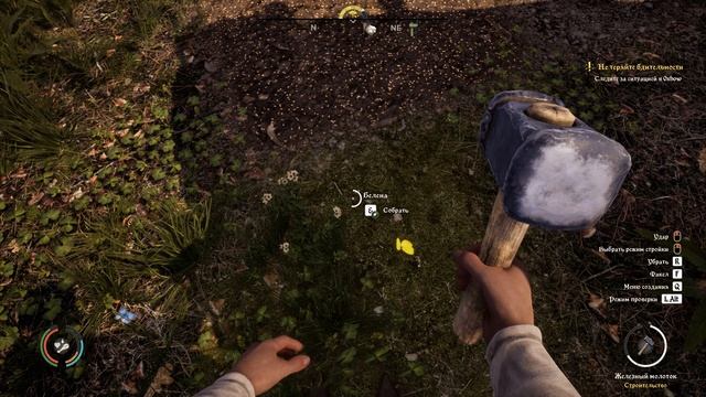 Medieval Dynasty #22 ВСЕ ДЛЯ ЗЕЛИЙ