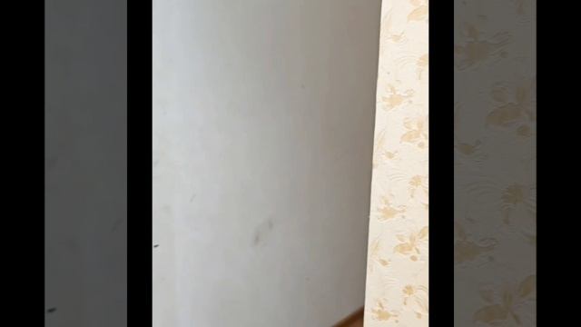 На время продажи СДАЕТСЯ квартира в аренду. Красная/желтая ветки метро. 2 этаж. п. Московский. смотреть онлайн