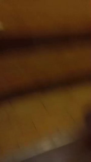 тут ты узнаешь что я купила для заначки при гулянки с собакой