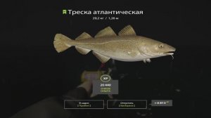 Русская Рыбалка 4. Норвежское море. 55-ая банка