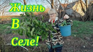 28-11.Распаковка с Озон.Работа в огороде.Вкусный ужин!