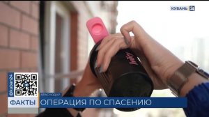 Запертых в квартире животных пытаются спасти жильцы многоэтажки в Краснодаре