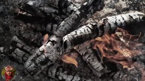 Жизнь-палитра С первого раза не зашёл контент