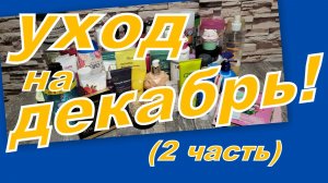 УХОД НА ДЕКАБРЬ ( 2 ЧАСТЬ)