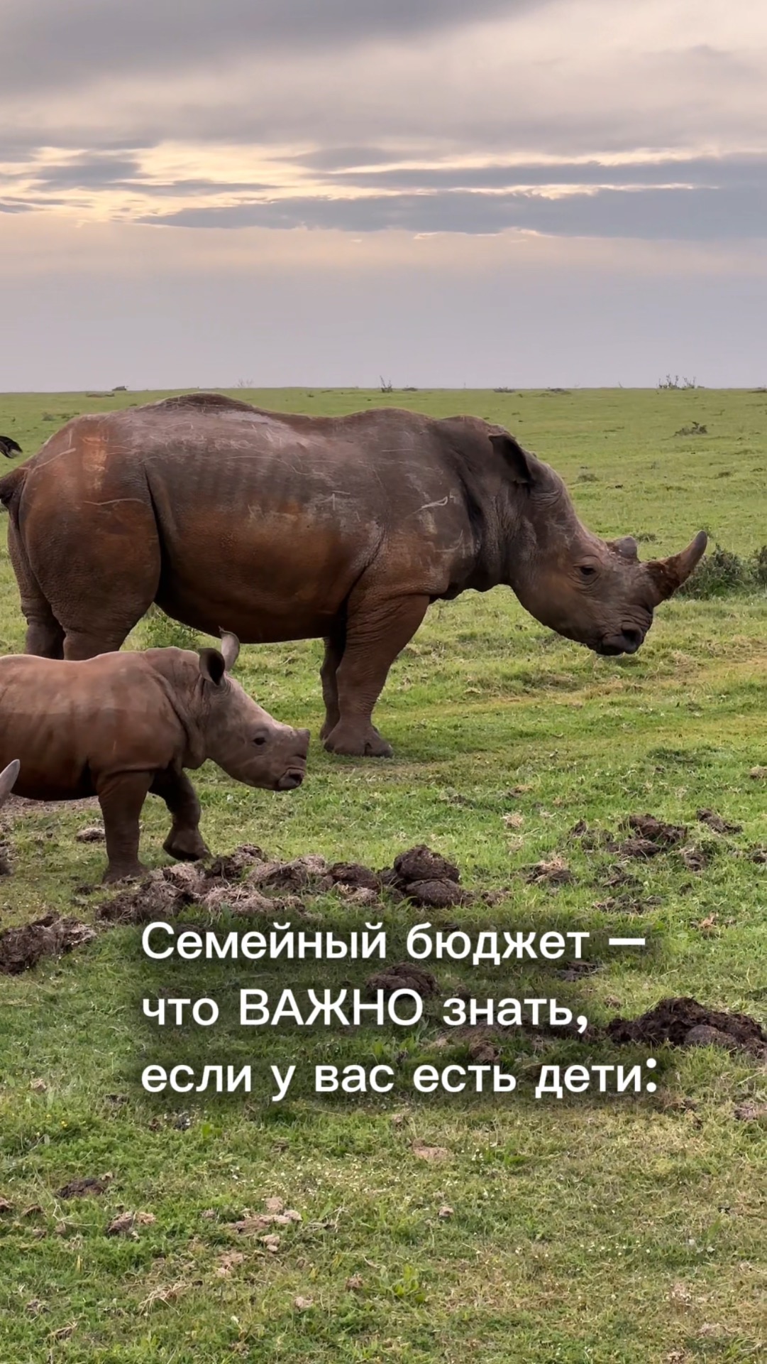 Семейный бюджет и дети