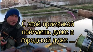 Жор окуня поздней осенью.Ультролайт.Рыбалка в городе