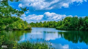 28-11-2025 Фартовый - Любите жизнь сегодня и сейчас (Авт.ролика Виктор)