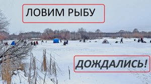 Быстрая поездка и Лучшая Рыбалка на Братском вдх. Крутой поклёв. Много рыбаков. Крутая рыбалка зимой