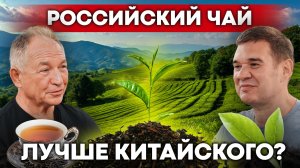 Как в России выращивают чай: производство, сорта, проверка качества. Мацеста чай | Своя еда