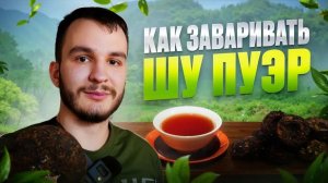 Как заварить шу пуэр: 4 способа раскрыть легендарный китайский чай