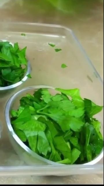 Как заготовить зелень на зиму смотреть онлайн