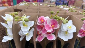 🚦СВЕТОФОР🚦ЗАСТРЯЛА СРЕДИ РЯДОВ С ТОВАРАМИ 😅 🔥Посуда,декор, бытовая химия и продукты 😌