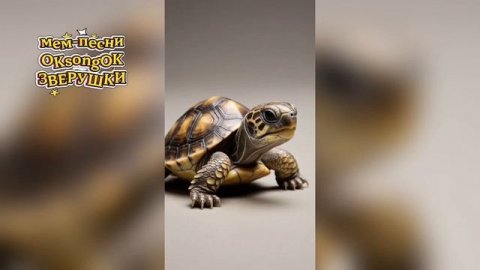 Зверушки #питомцы #животные #домашниеживотные #музыка #юмор #песня #милота