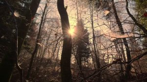 Судьбоносный день - Магическая цифра для каждого знака зодиака.