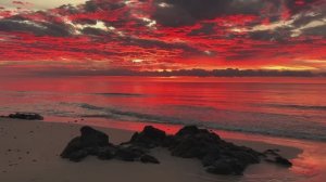 ❤️🔥 Идеальный восход солнца на пляже под успокаивающий шум волн