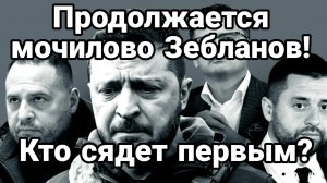 ТАМИР ШЕЙХ / КТО СЯДЕТ ПЕРВЫМ? МОЧИЛОВО ЗЕБЛАНОВ! новости сводки