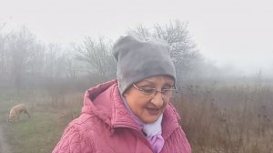 День с нами...Макеевка ДНР Россия ,конец ноября .