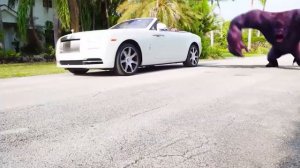 Прячемся от Забавного Огромного Яйца Динозавра