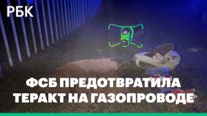 ФСБ заявила о предотвращении теракта на газопроводе в Подмосковье