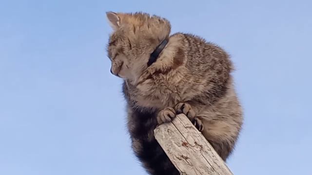 1000048283.mp4 смотреть онлайн