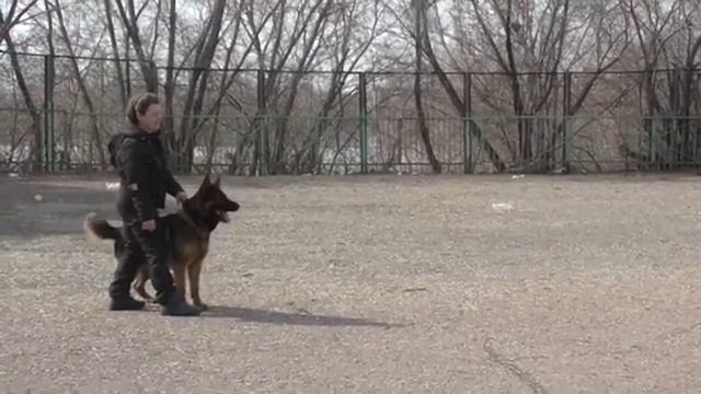 Защита.Герман.04.14