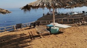 Пляж Reef Beach Шарм эль Шейх 8.30 утра