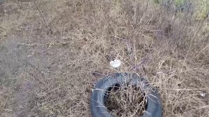 По саду гуляя... Осень провожая...