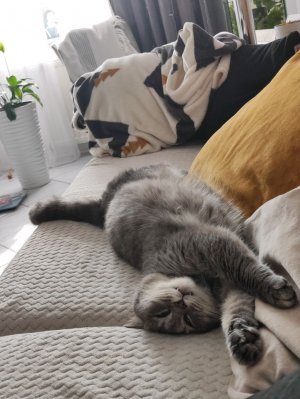 делаем из лего майнкрафт