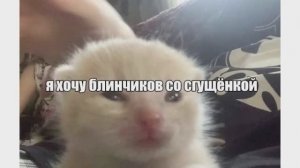 Хочу блинчиков)