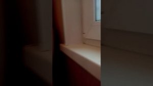 подготовка к новому году часть 2